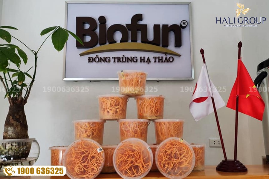 Đông Trùng Hạ Thảo Việt Nam Biofun - sản phẩm uy tín hàng đầu hiện nay